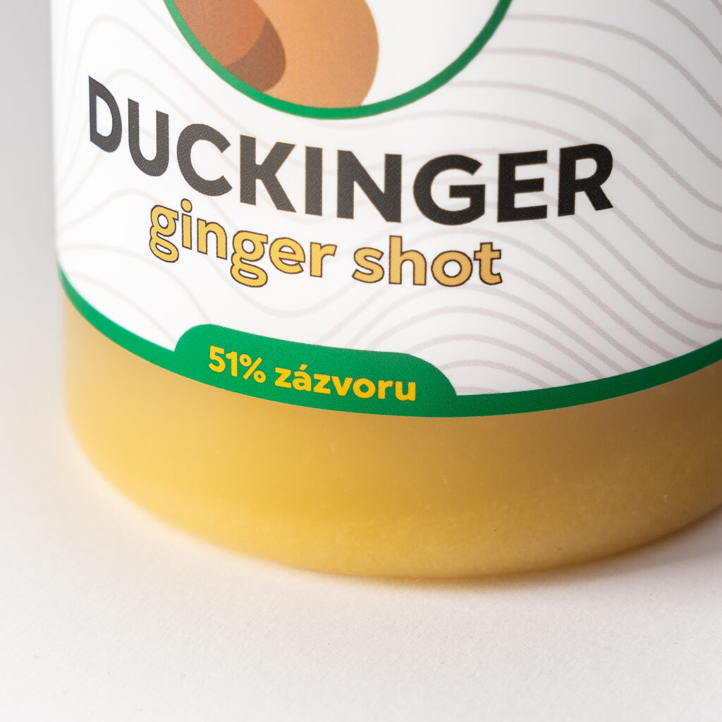 DUCKINGER_1_1_ROZKOVA-11